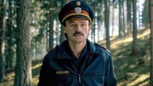 If You Knew How Beautiful It Is Here