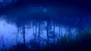 Os Melhores Anos de Nossas Vidas