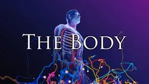 The Body