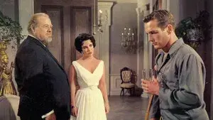 Cat on a Hot Tin Roof