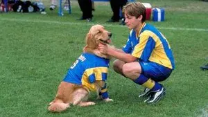 Air Bud: World Pup