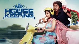 Mr. Housekeeping