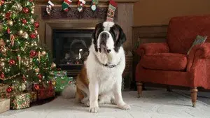 Beethoven's Christmas Adventure