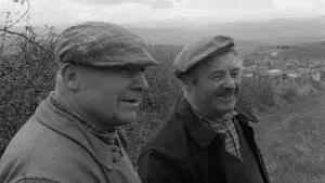 The Sorrow and the Pity