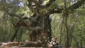 Valentina and the MUOSters