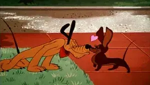 Schmetterlinge im Bauch - Eine Sammlung der schönsten Liebesgeschichten