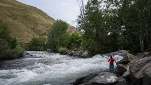 Covenant of the Salmon People