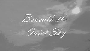 Beneath the Quiet Sky