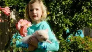 Arlo: The Burping Pig