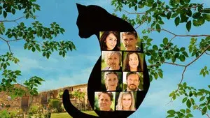 All Because of the Cat