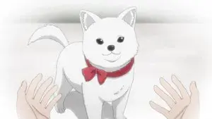 Kinokoinu Mushroom Pup