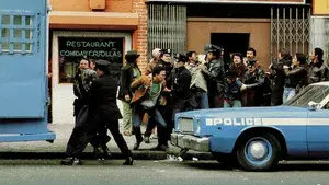 Fort Apache, the Bronx