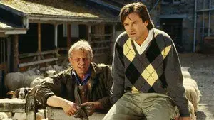 Rosamunde Pilcher: Wilder Thymian