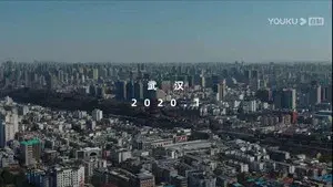 冬去春归·2020疫情里的中国