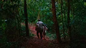 El silencio del cazador