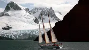 Where Are You Going Basile?