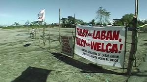 In the Name of the Sugarcane