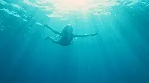 How I Learned to Fly