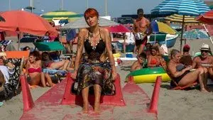 Like a Cat on a Highway