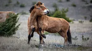 Living Among the Living