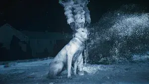 Genealogy of Violence