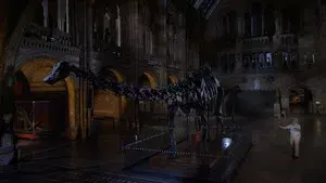 David Attenborough's Natural History Museum Alive