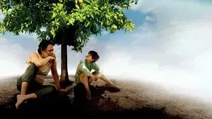 My Sweet Orange Tree