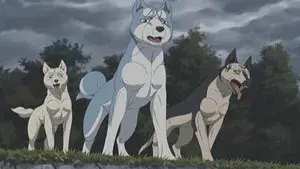 Silver Fang Legend Weed