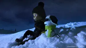 Norman the Snowman: On a Night of Shooting Stars