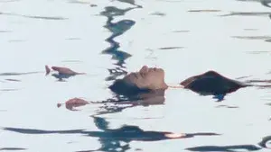 Door II: Tokyo Diary