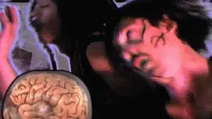 Write a Book About It