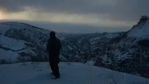 Three Castrated Goats