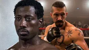 Undisputed Collection