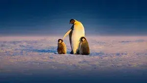 Secrets of the Penguins