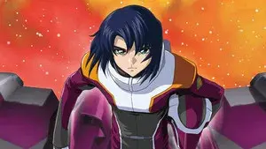 Mobile Suit Gundam SEED Destiny TV Movie II: Their Respective Swords