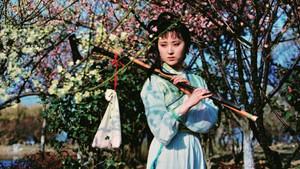 Dream in Red Mansions