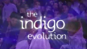 The Indigo Evolution