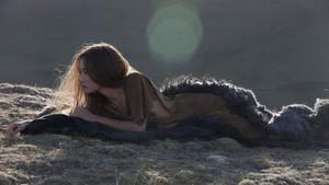 The Warrior and the Wolf