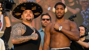 Andy Ruiz Jr. vs. Anthony Joshua II