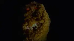 Goosebumps: It Came from Beneath the Sink