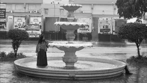 Elegy to the Visitor From the Revolution