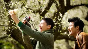 Anywhere Somewhere Nowhere