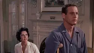 Cat on a Hot Tin Roof