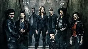 Shadowhunters