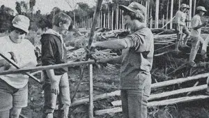 O Sonho de Rose: 10 Anos Depois