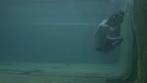 Diving In