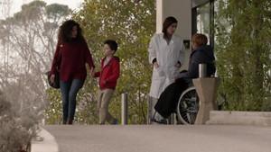 Alliances rouge sang