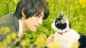 The Travelling Cat Chronicles