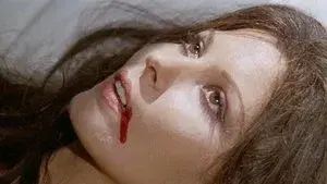 All the Colours of the Dark