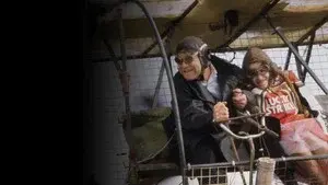 The Theory of Flight